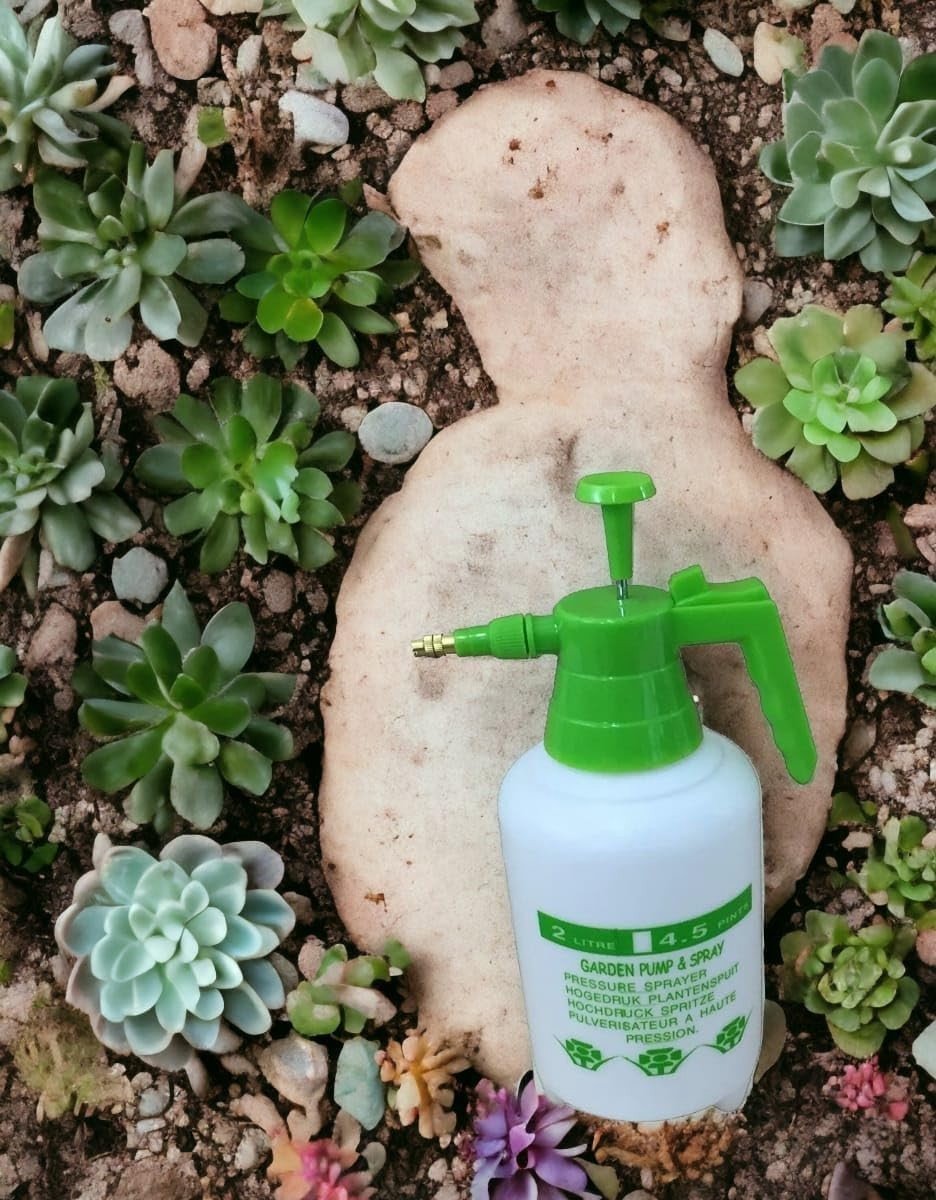 Omgoods - Drukspuit 2 Liter - Perfect voor Tuinieren en Plantenverzorging