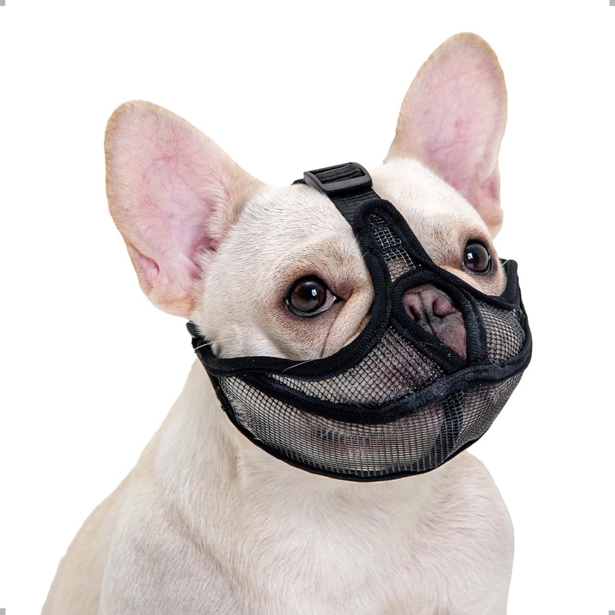 Verstelbare muilkorf voor Franse Bulldoggen, ademend mesh, anti-bijten en kauwen, voor korte snuit (L, Zwart)