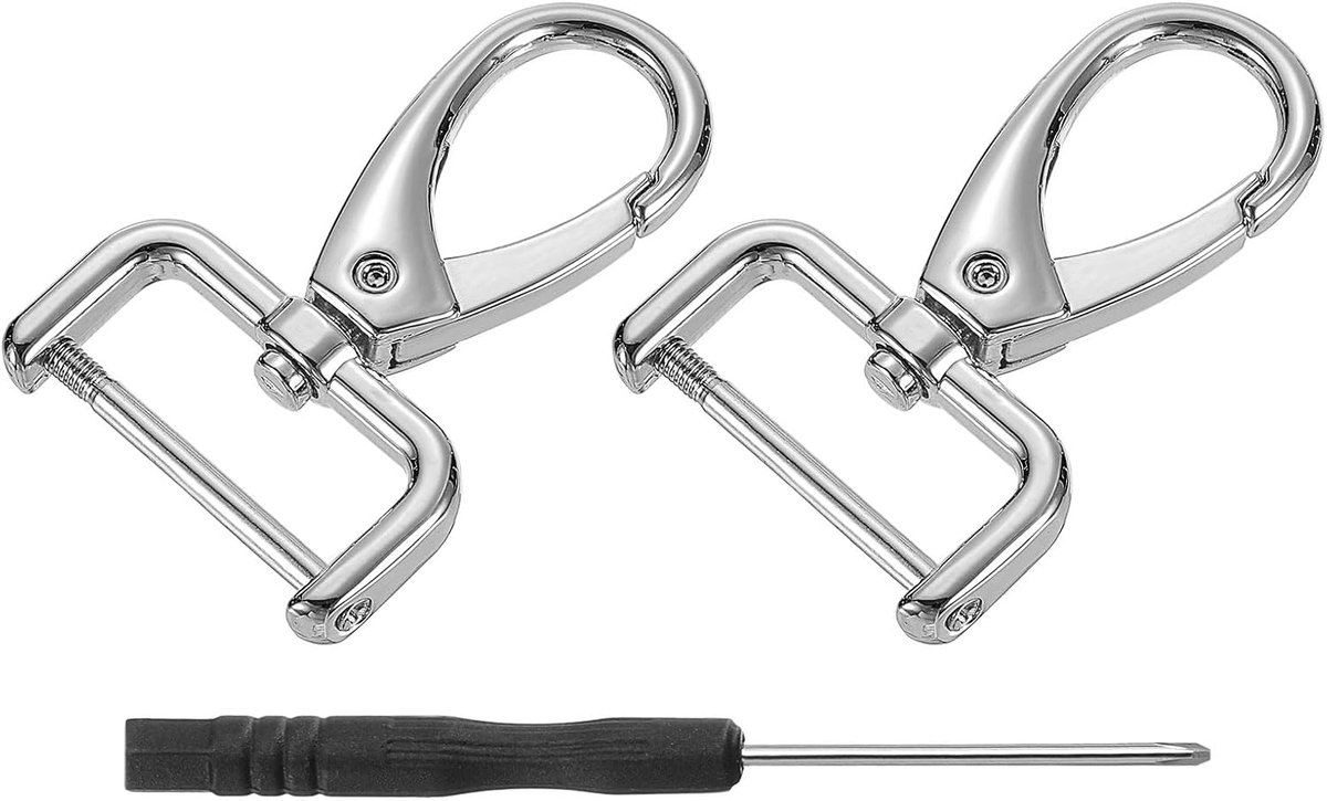 SnelShoppen - 2 Stuks Carabiners 25mm D-ring Afneembare Carabiner Sleutelhanger Metaal met Klauwsluiting en Draaibare Sleutelhanger Zilver