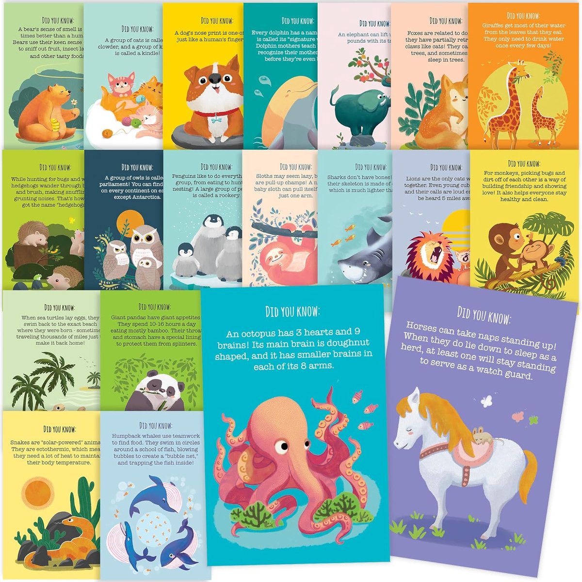 SnelShoppen - 40 Dieren Postkaarten Set - Bulk Verjaardag Postcards voor Kinderen, Studenten, Vrienden, Leraren - Leuk Bedankje of I Miss You Kaarten