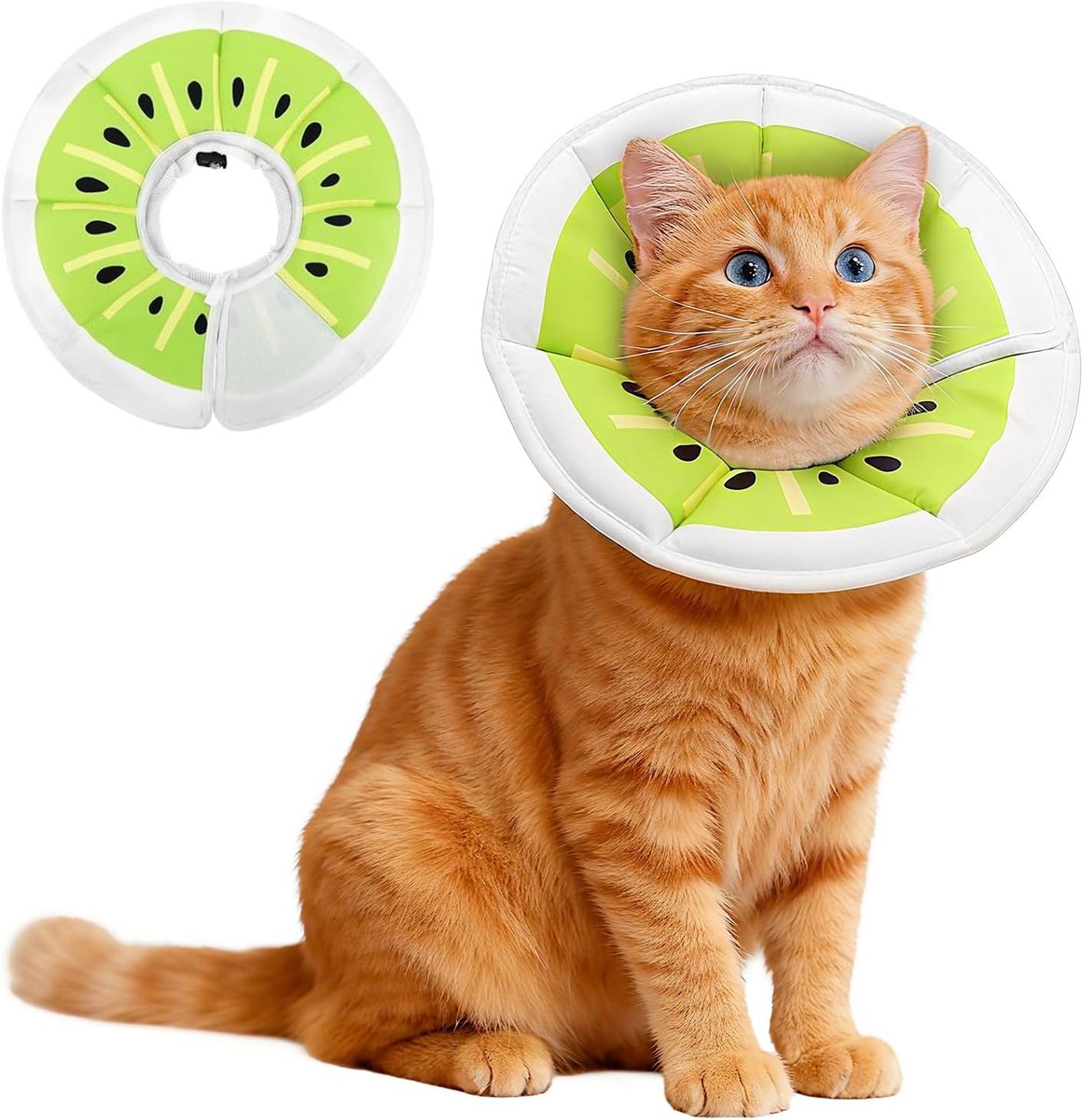 Thijox - Voarge 1 stuk halsband kat met lekbescherming, instelbare kattenkraag, halskraag voor puppy's en kleine honden (M) - Ideaal voor binnen en bu