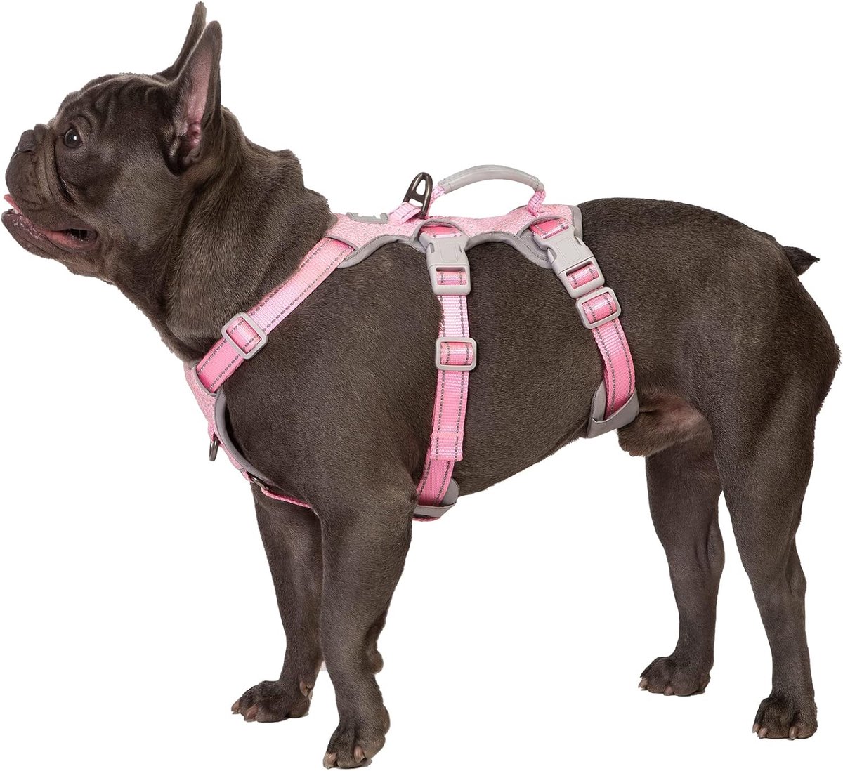 SnelShoppen - Escape Proof Hondenharnas voor Medium Honden - Volledig Reflecterend, Verstelbaar, Gevoerd Handvat, Duurzaam, Ideaal voor Wandelen en Re