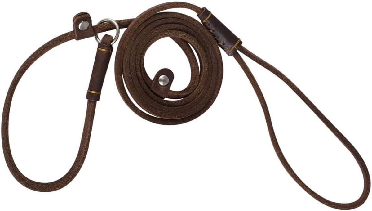 SnelShoppen - Leer Hondenlijn 1.5m - Verstelbare Recall Leash voor Kleine Honden - Lichtgewicht, Stevig, Zacht en Comfortabel - Perfect voor Wandelen