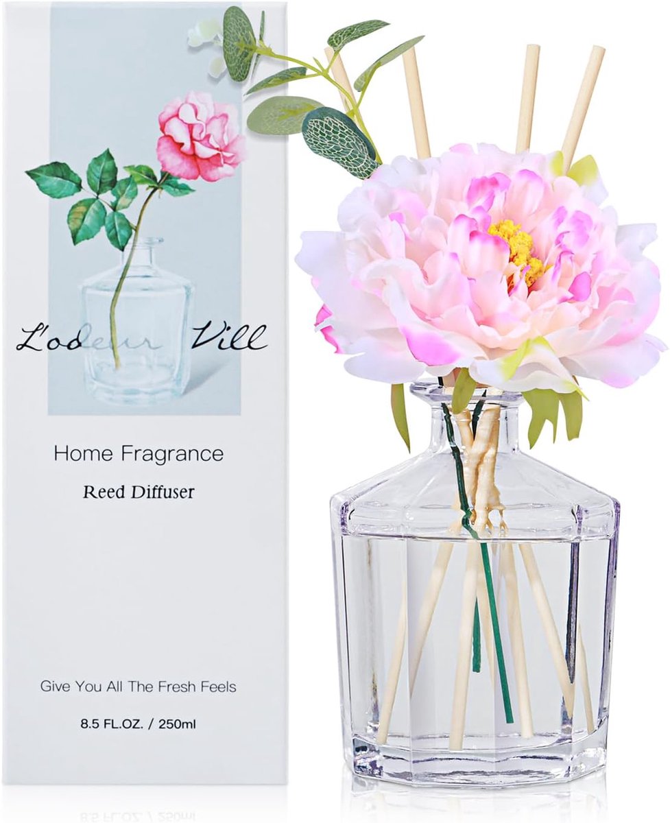 SnelShoppen - Luxe Luchtverfrisser Geurstokjes Diffuser 250ml met 10 Sticks, Langdurige Aromatische Geur voor Woonkamer, Slaapkamer, Badkamer, Kantoor