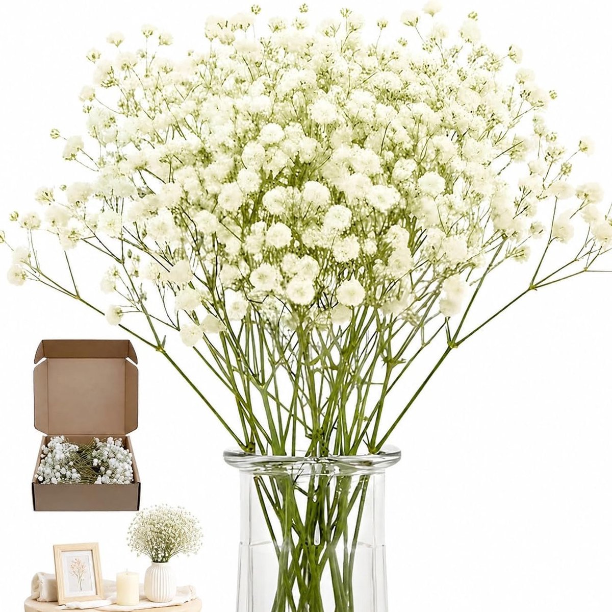 Hoogwaardige gedroogde sluierkraut – 100 stuks witte droogbloemen voor decoratie, DIY projecten en stijlvolle interieurinrichting