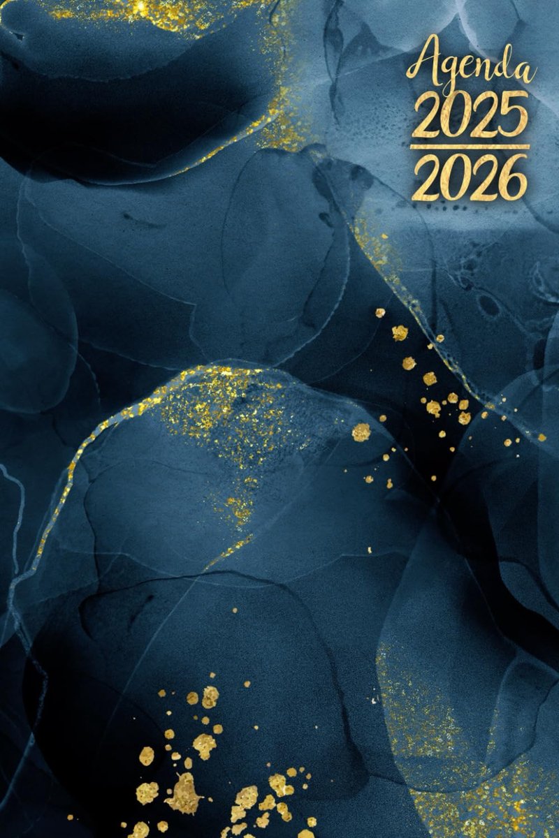SnelShoppen - Agenda 2025 2026 Encre Bleue & Or | Semainier A6 | Pocketformaat | Planning Hebdomadaire Vertical | Augustus 2025 - Juli 2026 | Columns