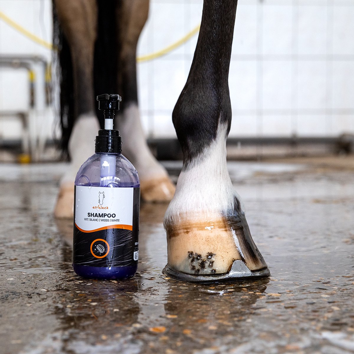 Epplejeck Epplejeck Paardenshampoo White Horse Wit