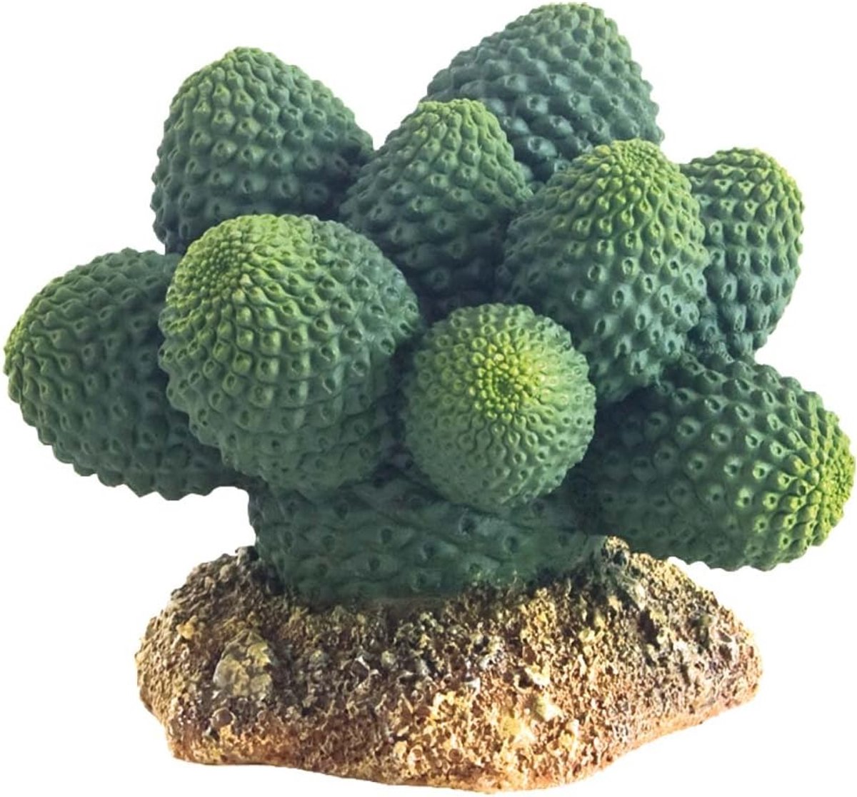 SnelShoppen - Kunstplant Cactus Atacamma 7 cm - Perfect voor Terrarium Decoratie, Kunststof Cactus, Groen, Huis en Tuin Accessoire