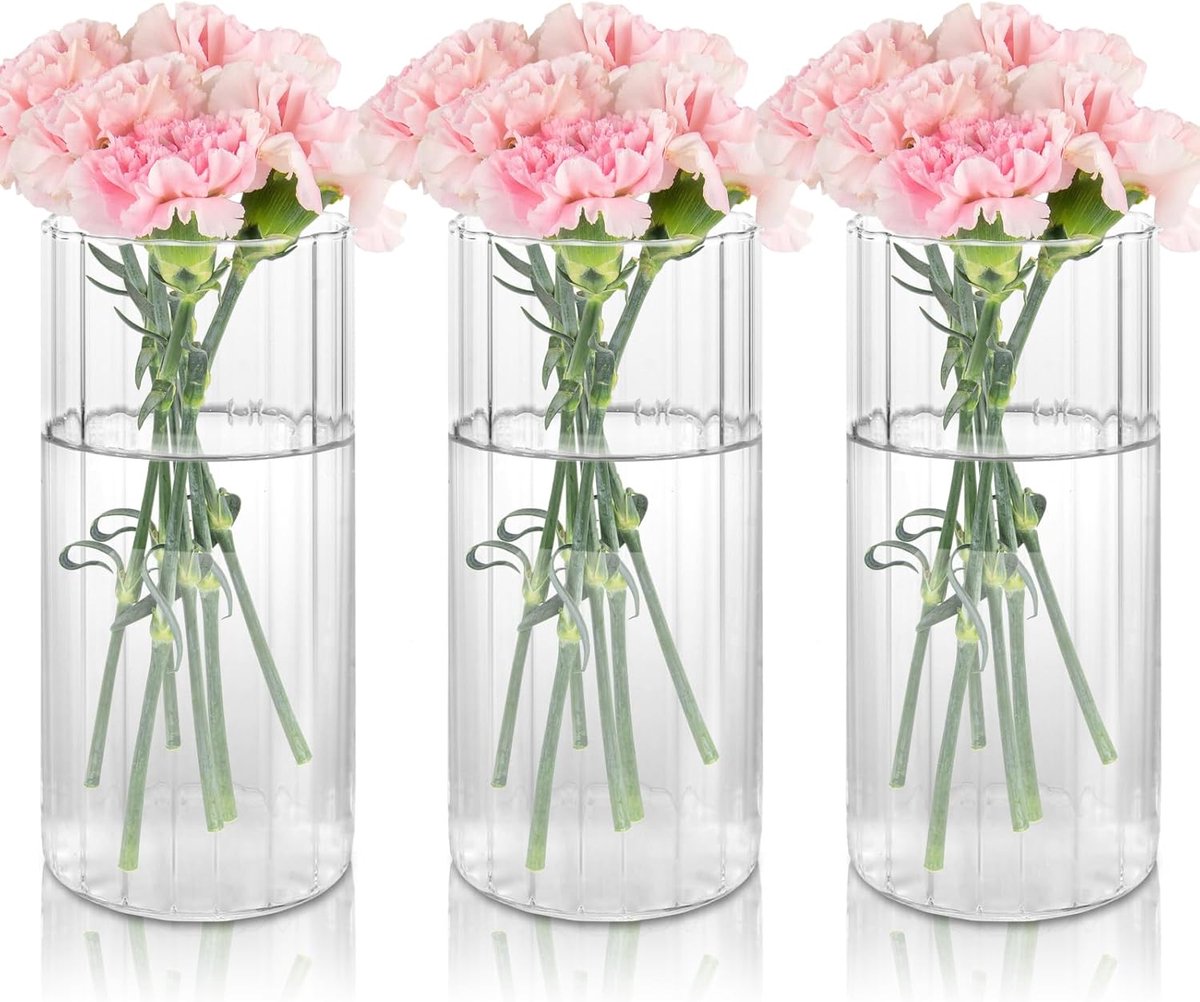 SnelShoppen - Set van 3 Kleine Glazen Vazen voor Tafeldecoratie, 20cm Hoge Glazen Cilinder Vaas, Moderne Transparante Bloemenvazen, Ribbel Vazen voor