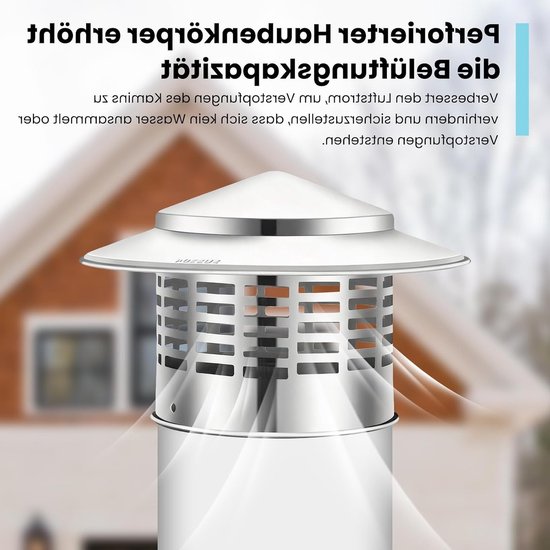 Zilverkleurige RVS schoorsteenkap met ronde openingen, geplaatst op een schoorsteen, met een huis op de achtergrond.