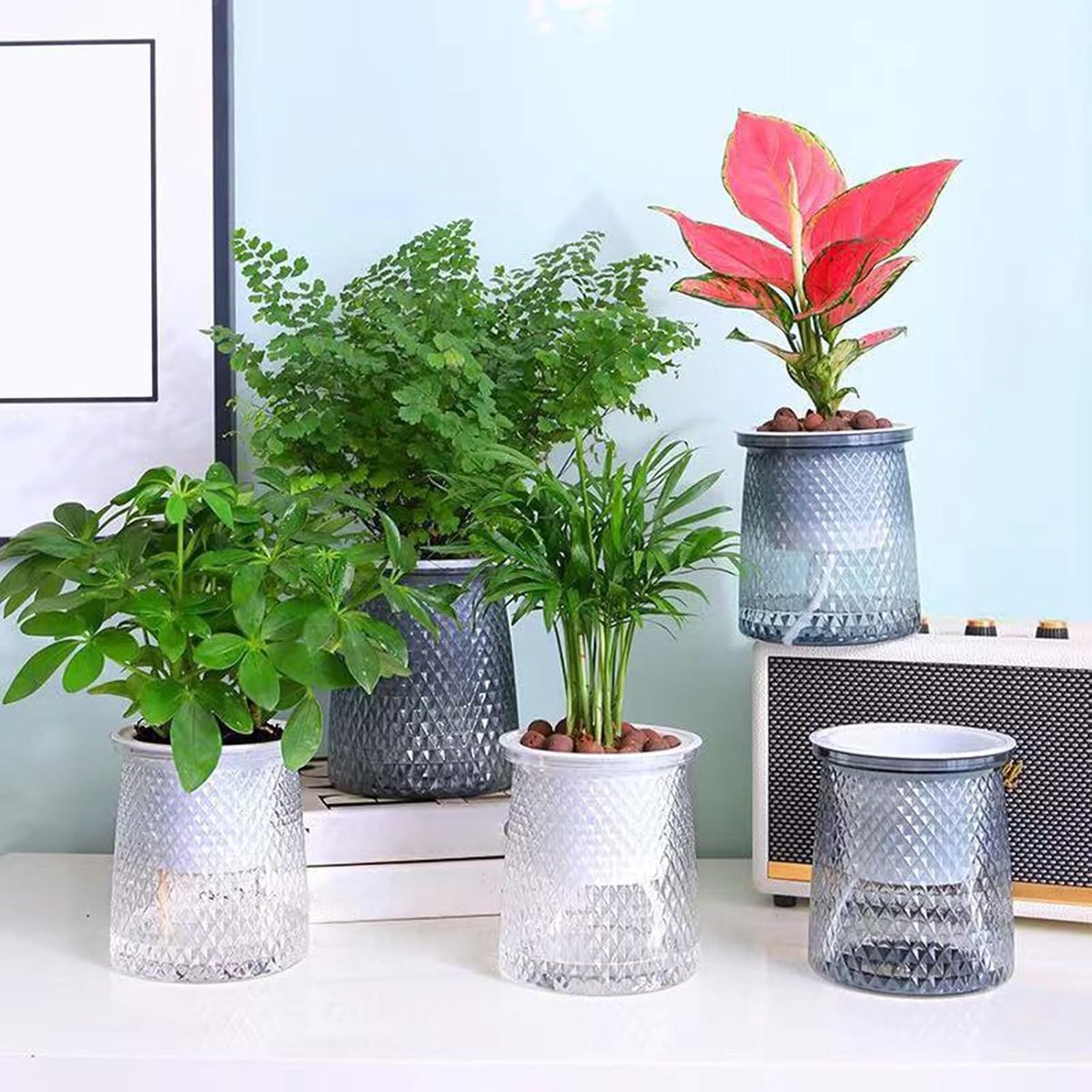 Zelfwaterende bloempot - Zelfwaterende plantenpot - Hydrocultuur bloempot - Transparante bloempot - Plantenpot binnen - Bloempot 3 stuks - Zelfbewaterende plantenpot voor kamerplanten, kruiden en bloemen — cadeau in Wonen & Interieur - foto 4