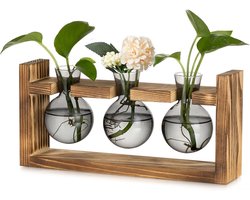 Glazen Propagatiestation voor Thuis: Kleine Bol Bloemenvase met Houten Frame voor Binnen, Ideaal voor Woonkamer en Keuken - Decoratieve Bud Vazen en Terrarium voor Hydroponics en Plantenvermeerdering