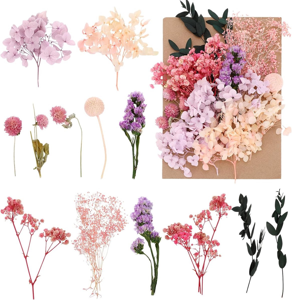 SnelShoppen - Dried Flowers Natuurlijke Gedroogde Bloemen voor DIY Kaarsen, Creatief Knutselen, Scrapbooking en Fotolijsten Decoratie - Prachtige Paar