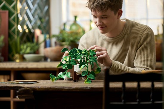LEGO Botanicals Lierre du Diable Suspendu Kit de Construction Plantes pour Adultes - 11512