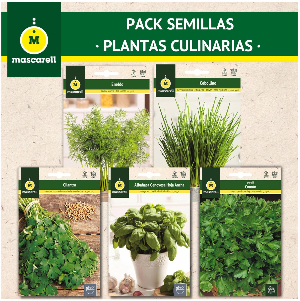 SnelShoppen - Zaden Mascarell Pakket Culinaire Planten - Peterselie, Koriander, Bieslook, Basilicum & Dille - Gemakkelijk Thuis Te Kweken - 75 Gram Vo