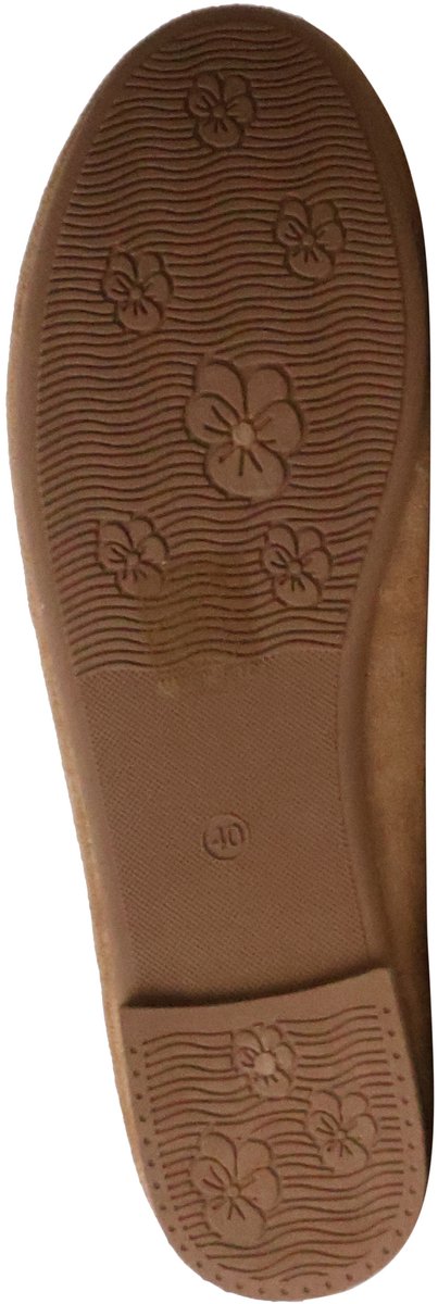 Ballerinaschoenen om aan te trekken
