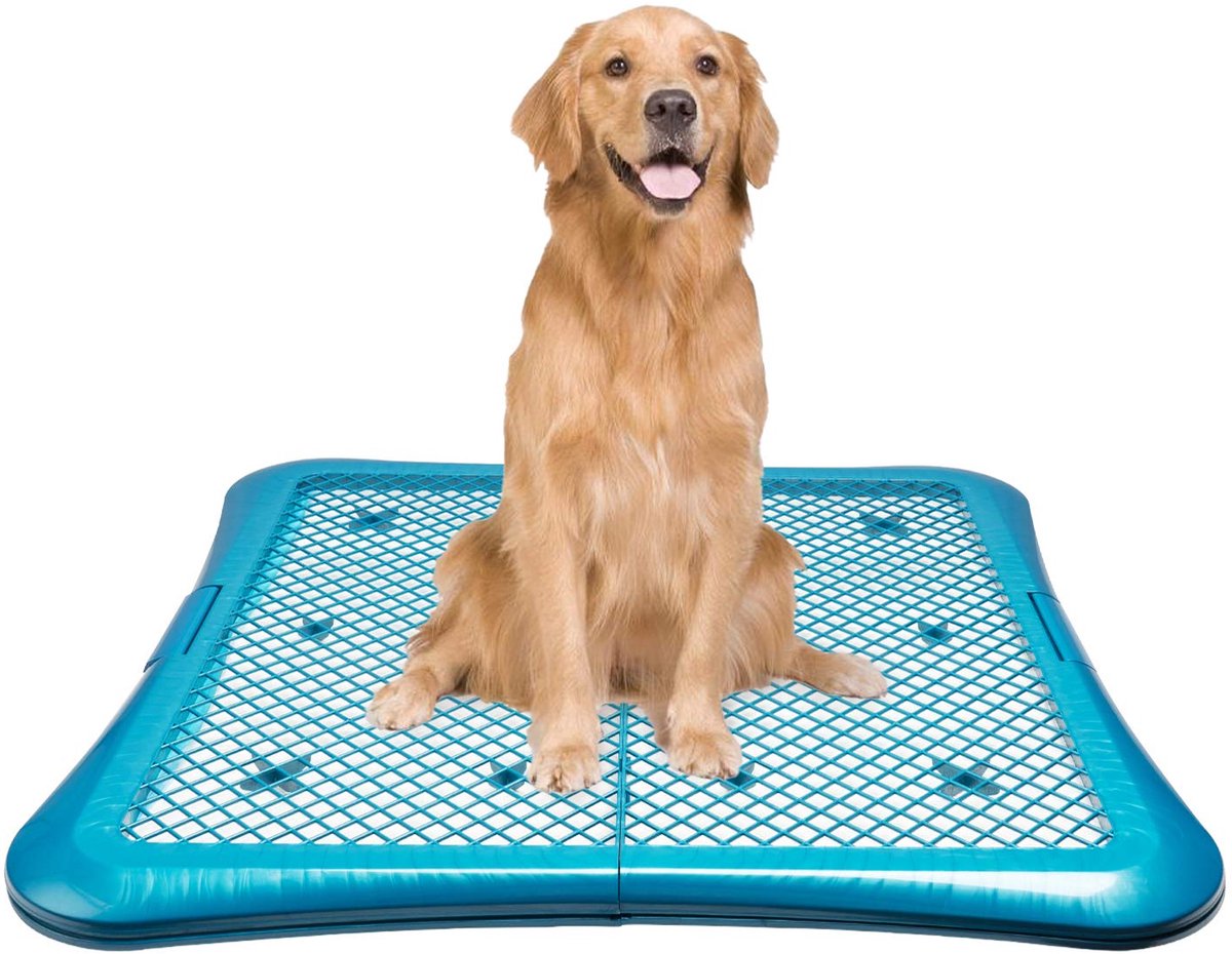 SnelShoppen - Super-absorberende Puppy Training Pads X-Large - Zindelijkheidsmatjes voor Huisdieren - 42 Stuks - 71 x 86 cm - Ideaal voor Zindelijkhei