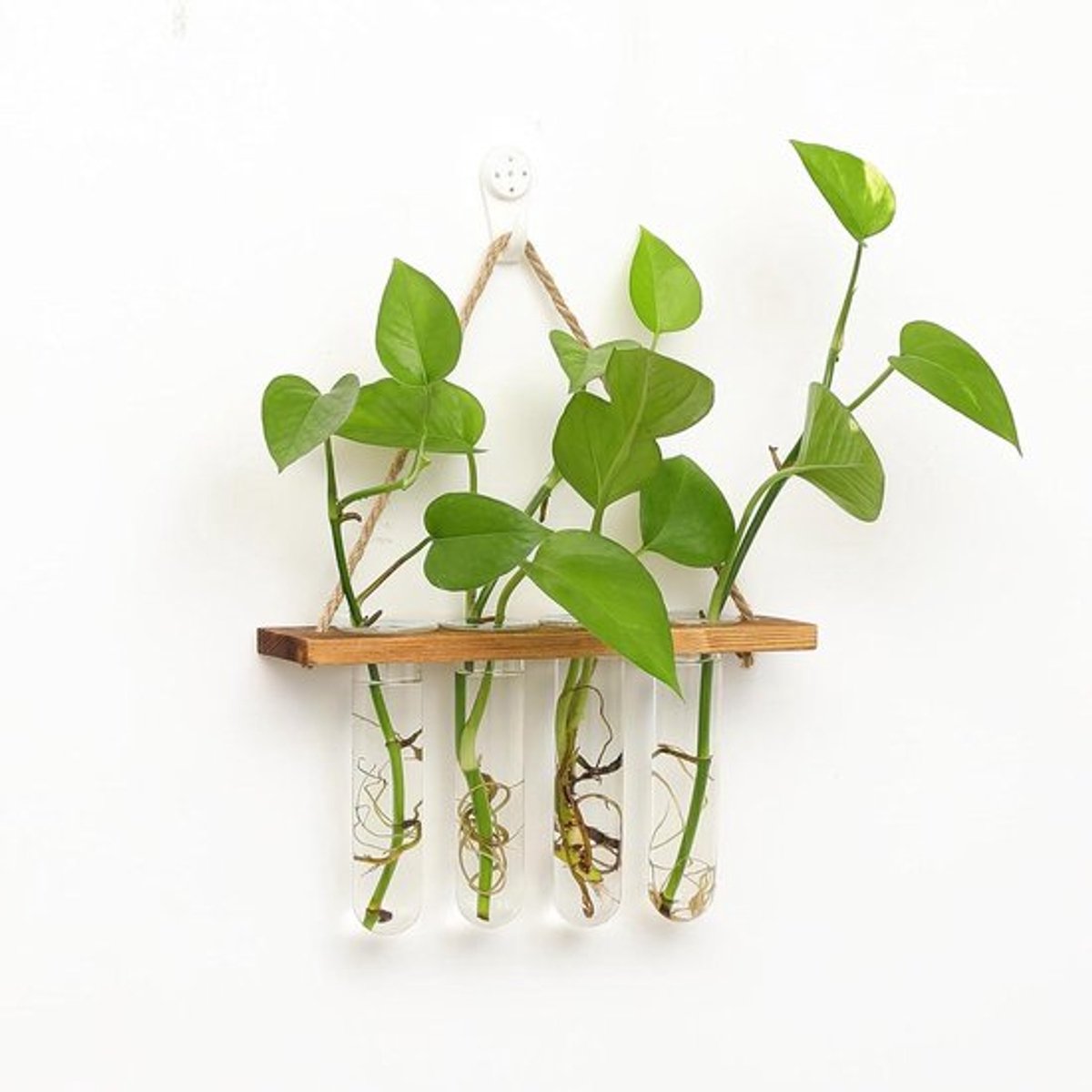 Hydrocultuurplanter voor Wandmontage met 4 Buisjes - Plantvermeerderingsstation met Houten Frame - Decoratieve Vaas voor Hydrocultuurplanten - Bruin