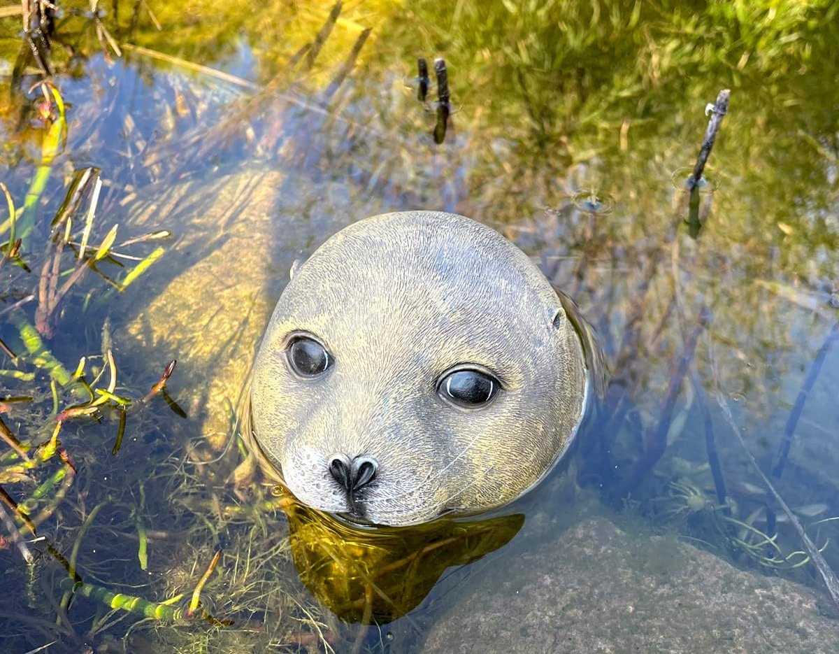 SnelShoppen - LB H&F Vijverfiguur Zeehond - Natuurgetrouwe Vijverdecoratie voor Tuin en Mini-vijver - Zwemfiguur van Hoogwaardig Materiaal - Decoratie