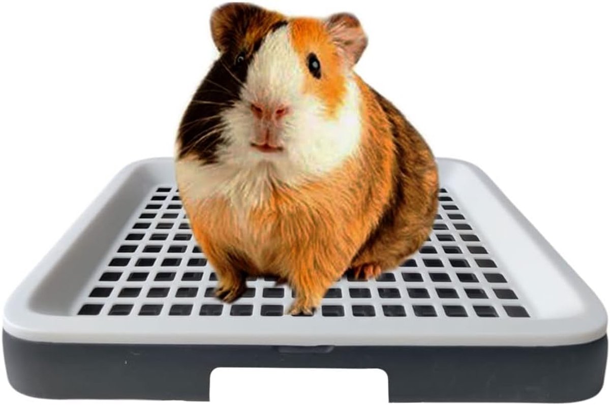 Cavia-kattenbak met rooster, rattenkattenbak voor kooi, toilet hoekpotje poeptrainer voor knaagdieren, chinchilla kooi accessoires