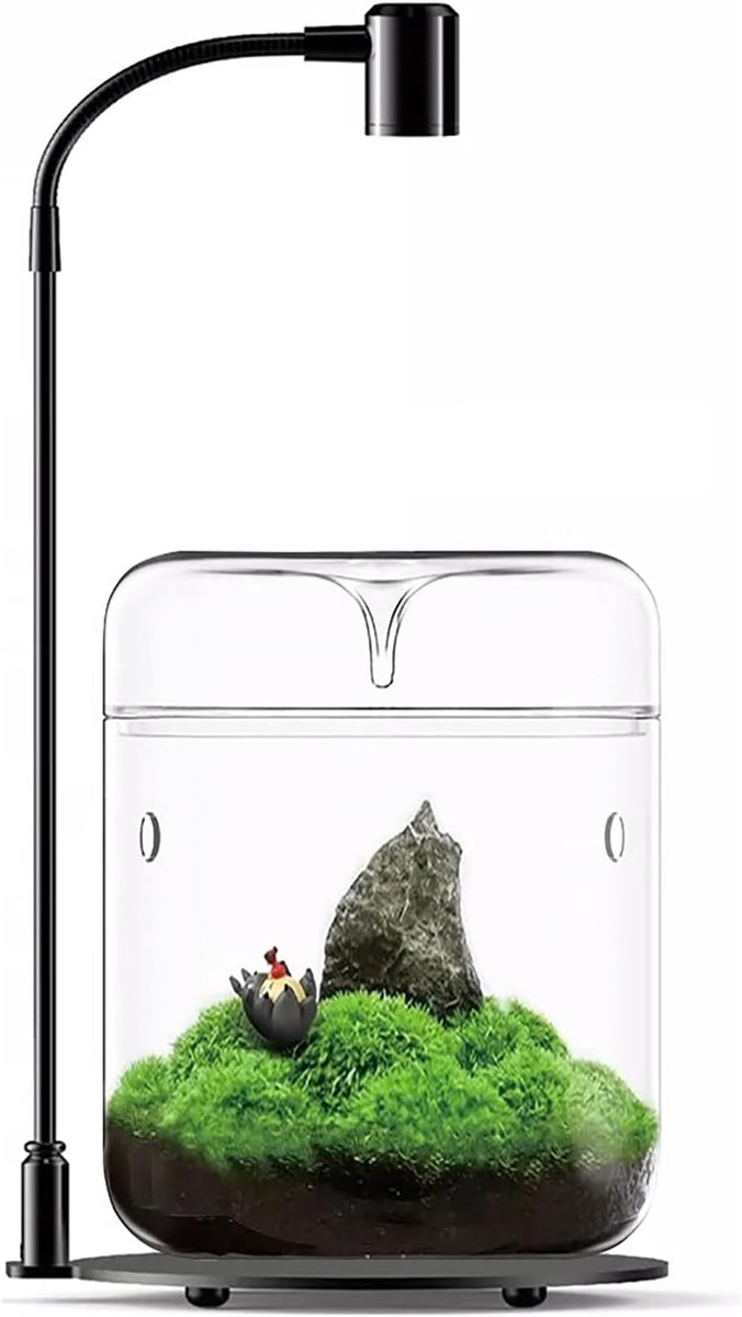 SnelShoppen - Glass Plants Terrarium 12 x 17.5 cm - Succulent Air Planter met Lid - Indoor Micro Landscape Vase voor Thuis en Kantoor - Met Plantverli