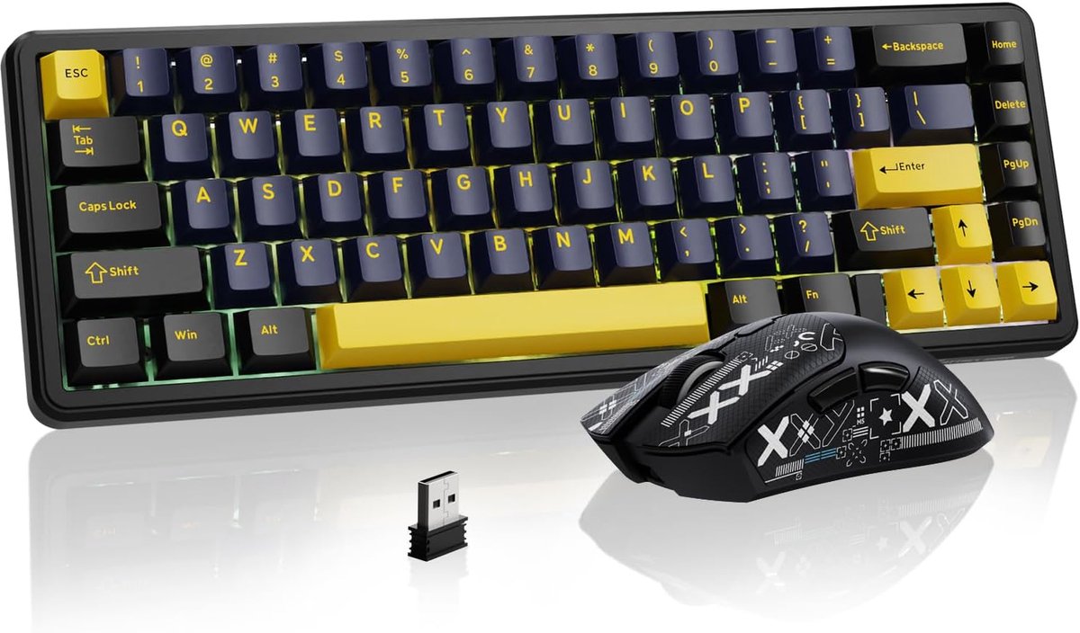 SnelShoppen - Gaming Toetsenbord & Muis Combo, X65 HE Bedraad Magnetisch Toetsenbord en R1 Draadloze Ultralichte Muis (8000Hz, 18.000 DPI, RGB, 65u Ba