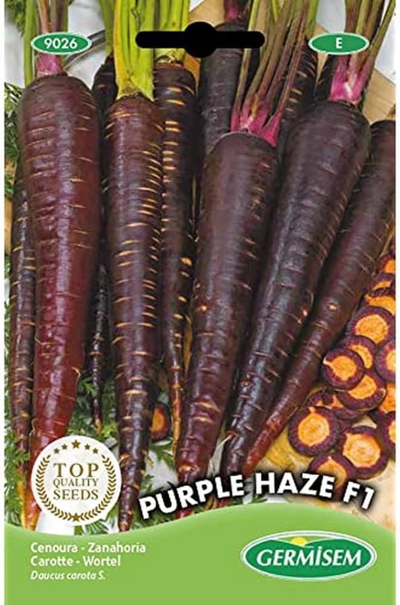 SnelShoppen - Germisem Purple Haze F1 Wortel 300 Zaden - Zomer en Herfst Teelt - Oranje Binnenkant - Ideaal voor Ieder Soort Grond - Groene Tuin