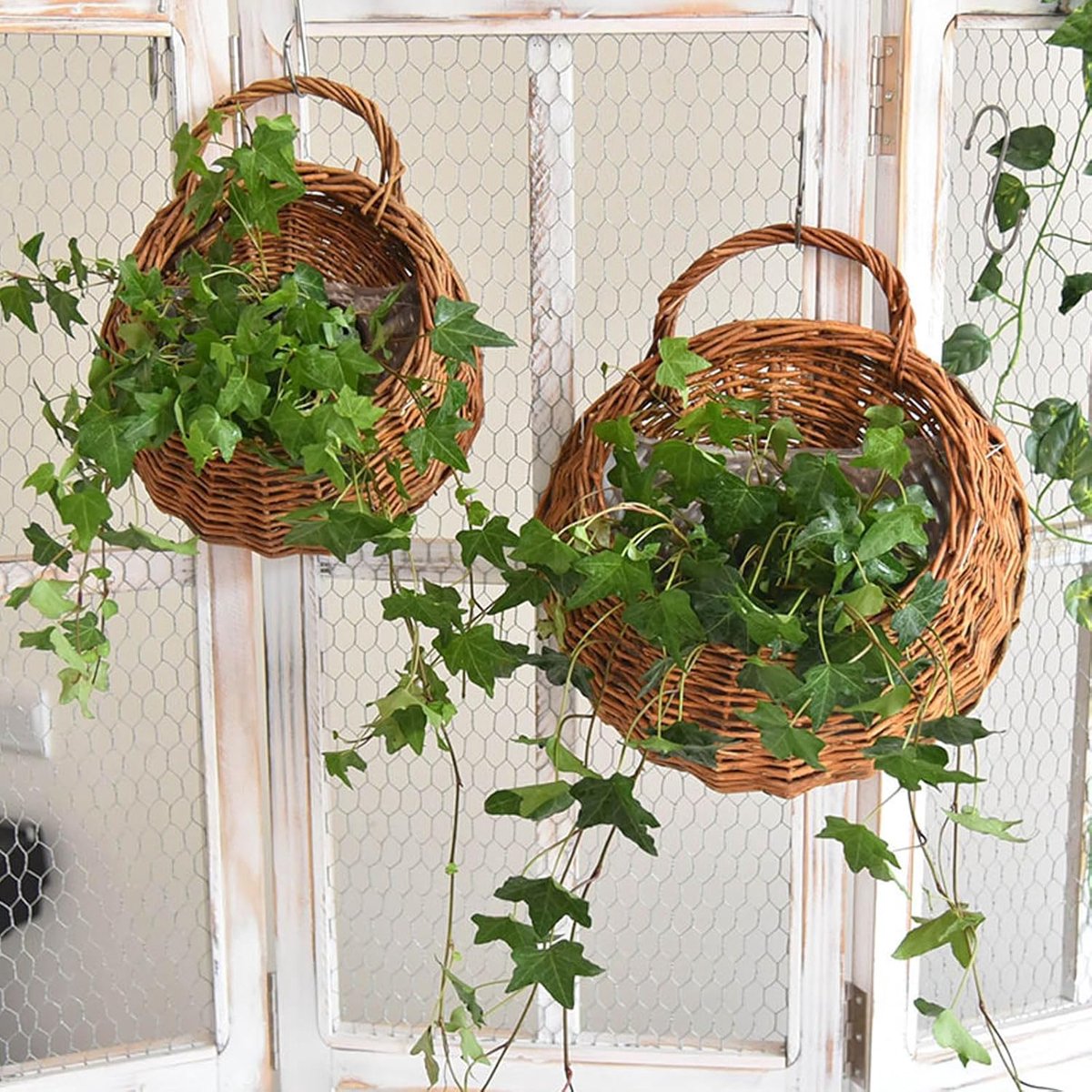SnelShoppen - Hangmand Gevlochten Wilg en Rotan Bloemenmand Wandhanger - Plantenbak voor Wanddecoratie - Houten Plantenbakken voor Huis en Tuin - Mili