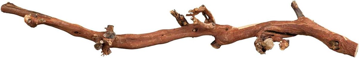 Natuurlijke Wijnstokken - Decoratie Takken - Terrarium Inrichting - Set van 5 stuks - 40-60 cm lengte