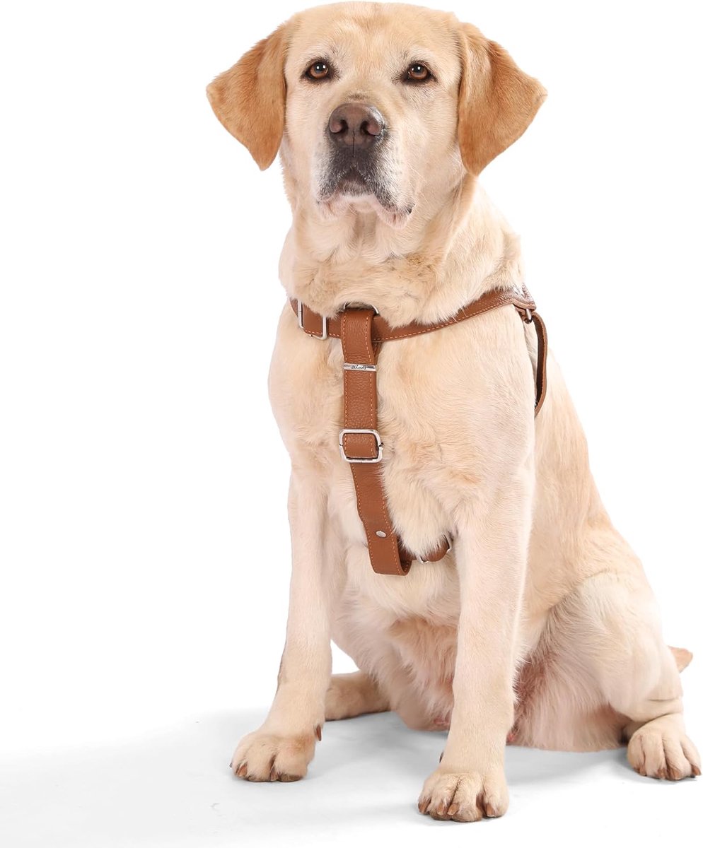 SnelShoppen - Dog Harness Leer Verstelbaar Borstharnas voor Honden - Zacht en Comfortabel - Geschikt voor Kleine, Middelgrote en Grote Honden - Bruin