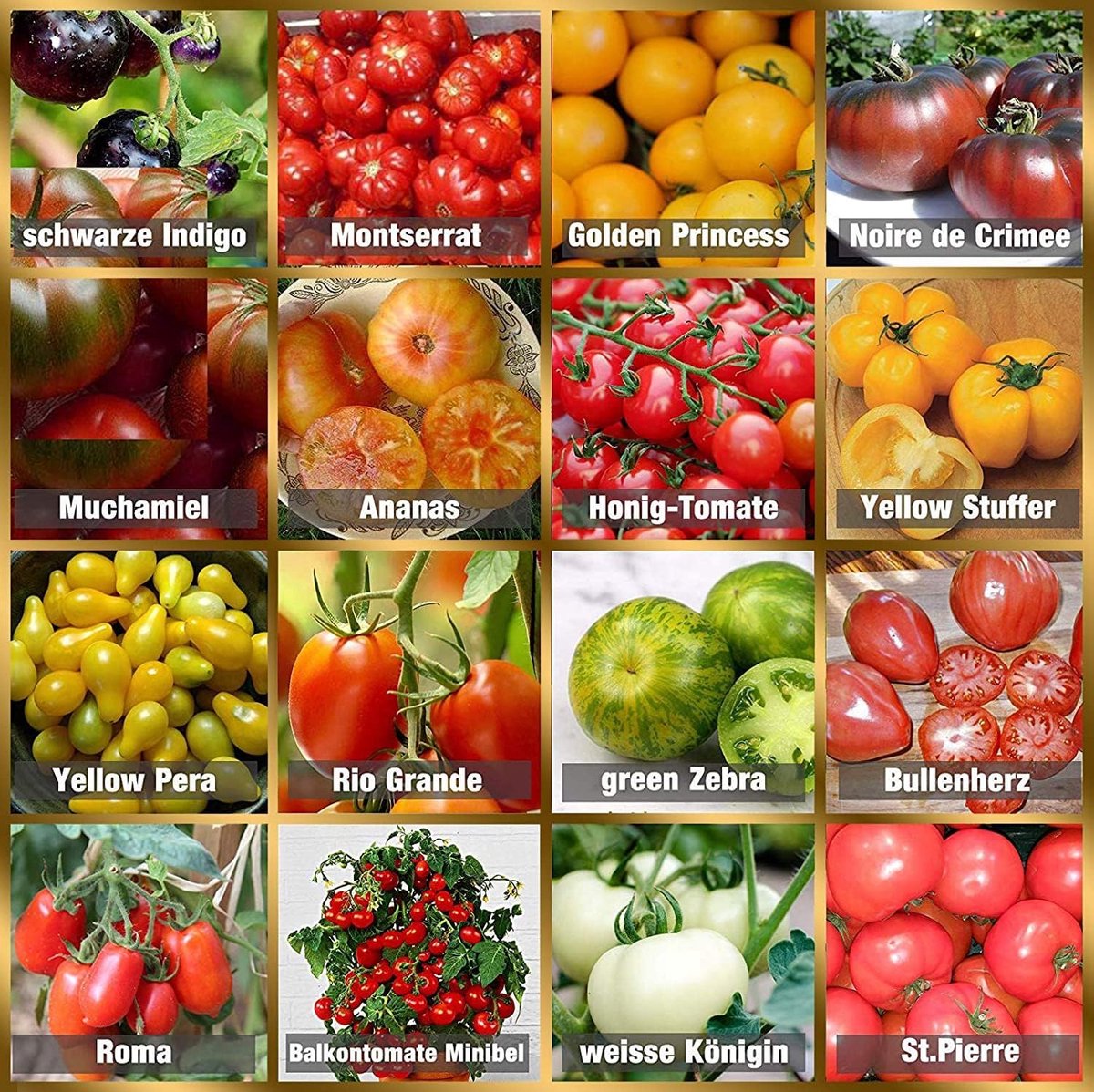 SnelShoppen - Tomatenzaad Set 16 Soorten - 160 Zaden - 100% Natuurlijke Zaden - Handgeplukt uit Portugal - Zeldzame en Oude Varieteit - Hoge Kiemberei