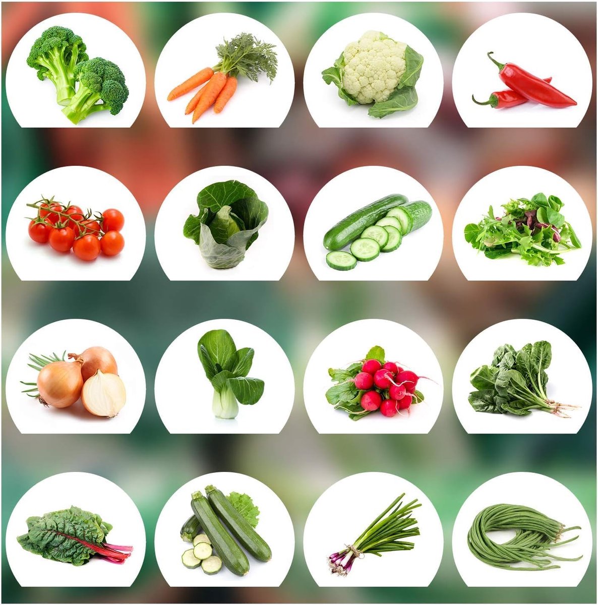 SnelShoppen - Groentezaad Set met 16 Premium Soorten - 100% Natuurlijke Zaden uit Portugal - Ideaal voor Tuinieren, Cucumber, Broccoli, Wortel, Bloemk