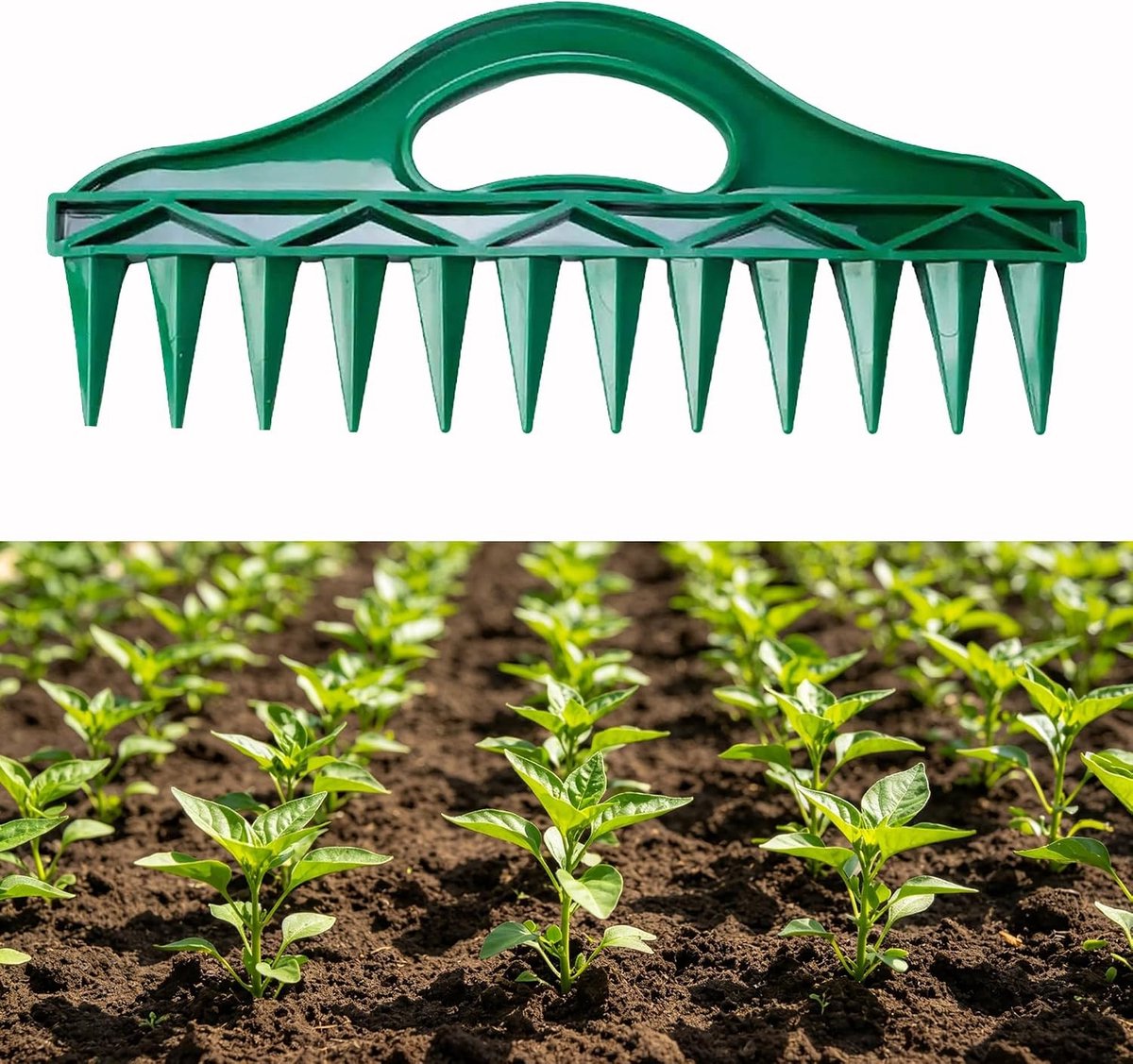 Zaaddispenser voor planten met 12 holtes, ideaal voor moestuin, zaaibak en zaailingen in bloempotten en tuinperken