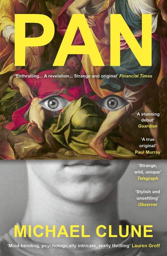 Pan - cover
