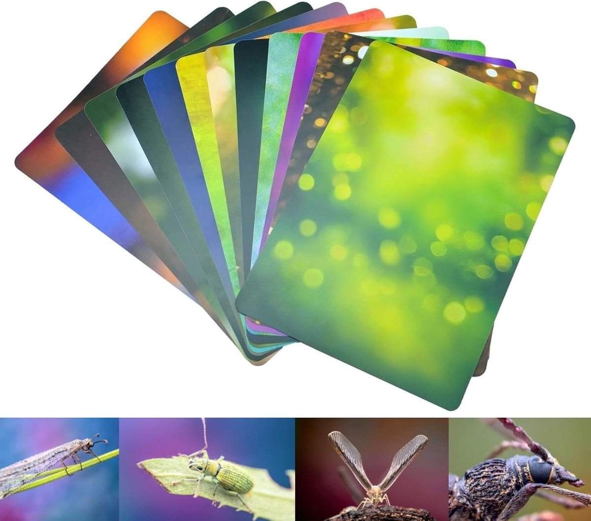 Achtergrondkaarten Set voor Macro Fotografie, 12 Stuks, 24 Kleuren, Lichtabsorberend Materiaal, Ecologisch Vervagende Achtergronden voor Professionele Fotografie