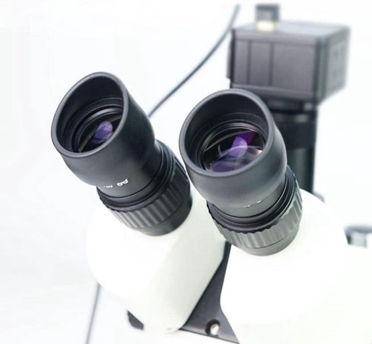 Set van 2 rubberen oculaire afdekkingen voor microscopen met cilinder-oculair en platte hoek van 36 mm, voor comfortabele oogbescherming tijdens gebruik