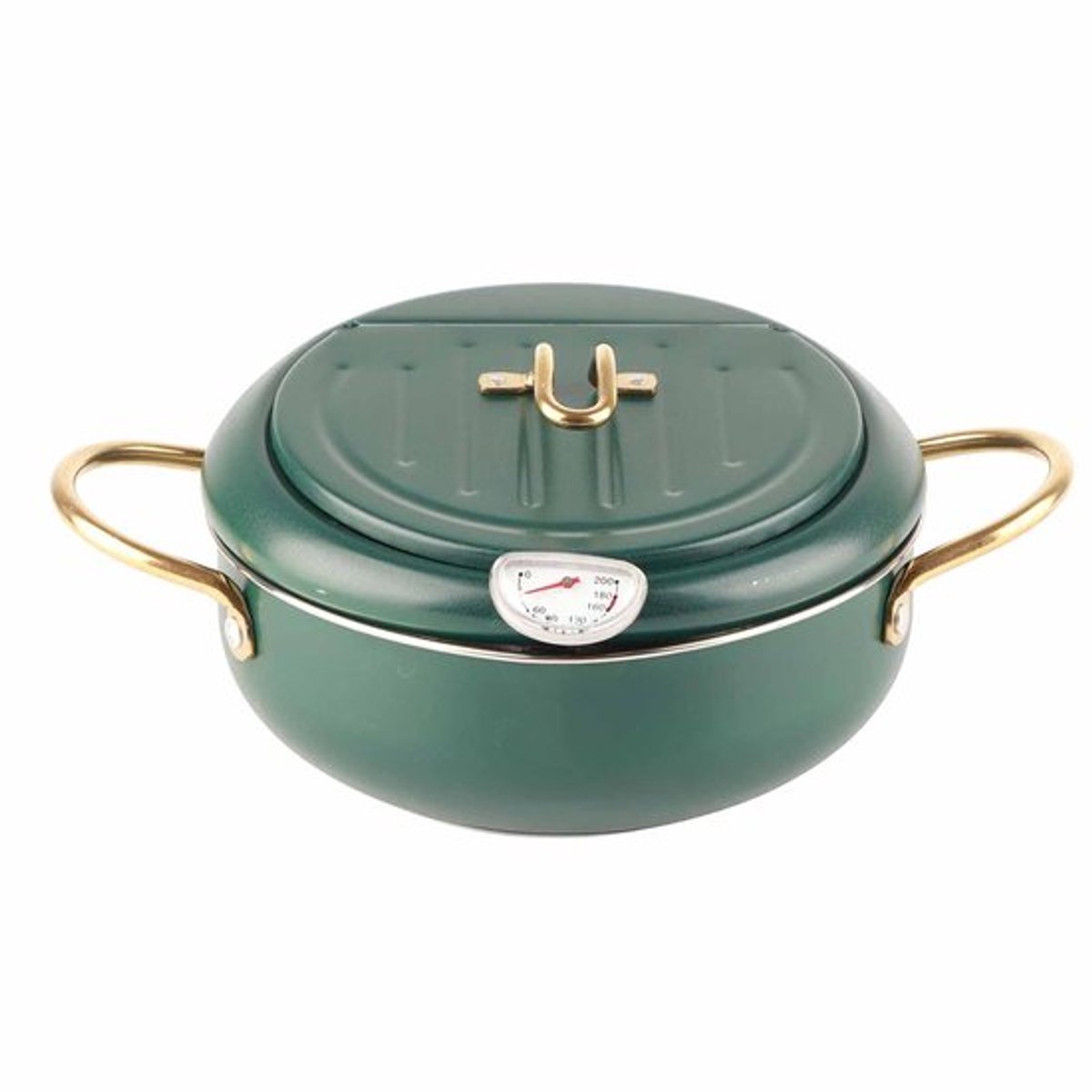 Friteuse RVS Met Thermometer - Diepgroen - Afneembaar Rooster