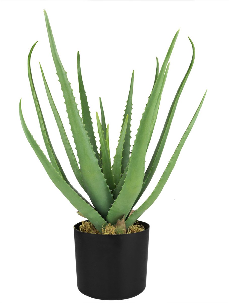 Decovego Kunstmatige Aloë Vera Kamerplant, 50 cm, Kunststof Plant voor Binnen, Onderhoudsvriendelijk en Decoratief