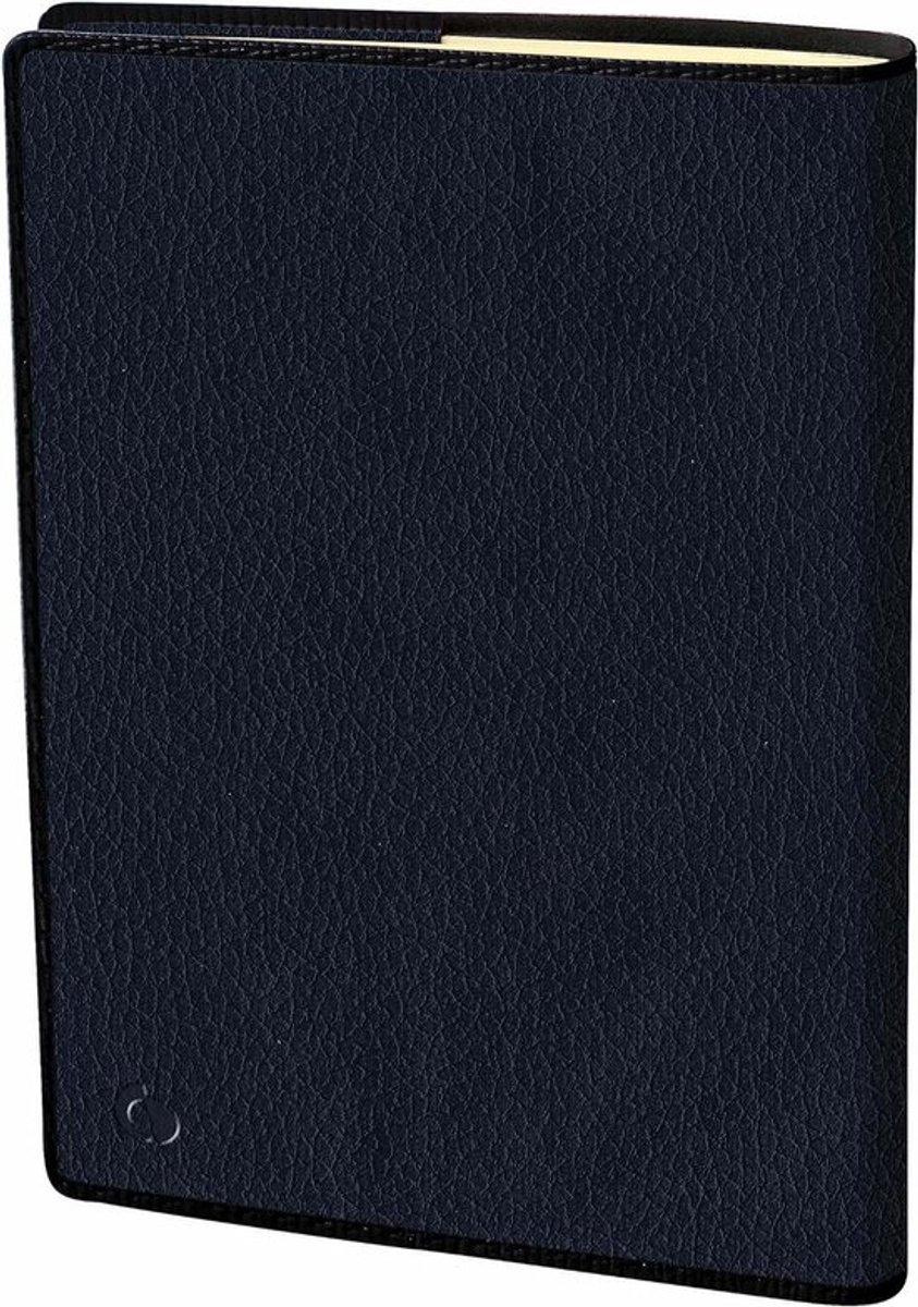 Agenda 13 maanden - Planners Kalenders - Dagelijkse Planning - Genaaide Binding - 21 x 27 cm - Blauw