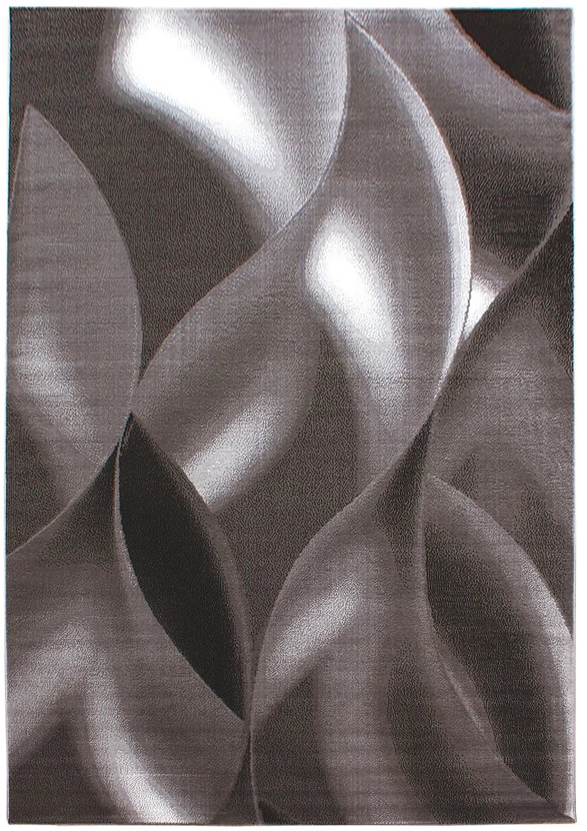 Dutch XXL Modern Vloerkleed | Tapijt | Plus | Golven | Bruin | 120x170 cm