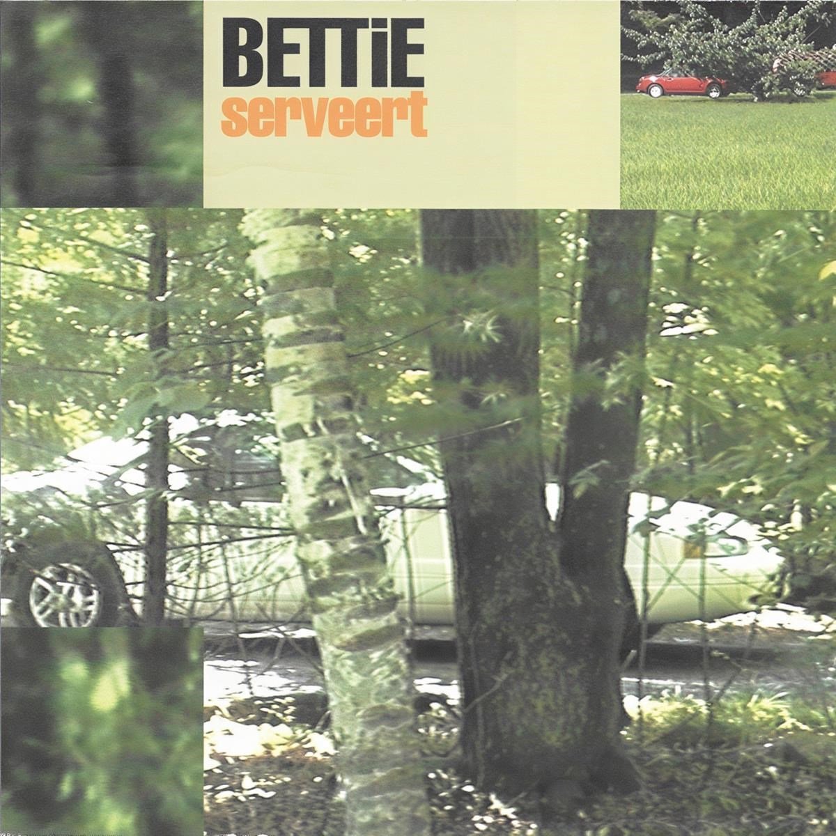 Bettie Serveert - Dust Bunnies (CD)