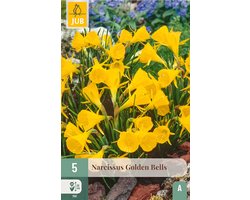 Narcissus golden bells 5st JUB