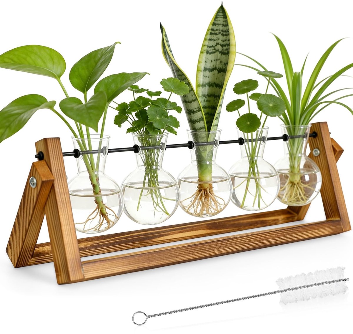 Planten Propagatiestation - Houten Stand met 5 Glazen Bollen