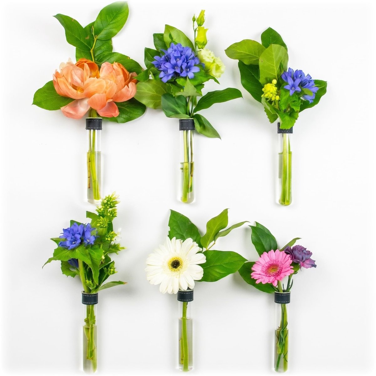 Wandvazen voor bloemen - Zwart - 6 stuks