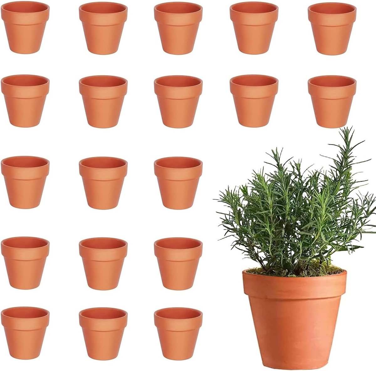 Mini terracotta potjes 3 x 3 cm - 20 stuks, met drainagegaten voor zaailingen en vetplanten, ideaal voor DIY projecten en tuinieren