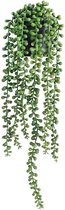 Une plante artificielle retombante aux feuilles vertes sphériques dans un pot sombre.