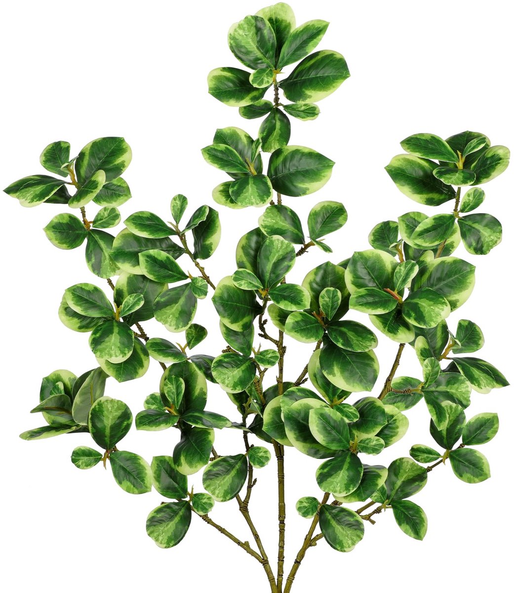 Dailygoods - 3 Stuks Kunstmatige Ficus Stengels 91,9 cm - Decoratieve Takken voor Vaas en Bloemstukken