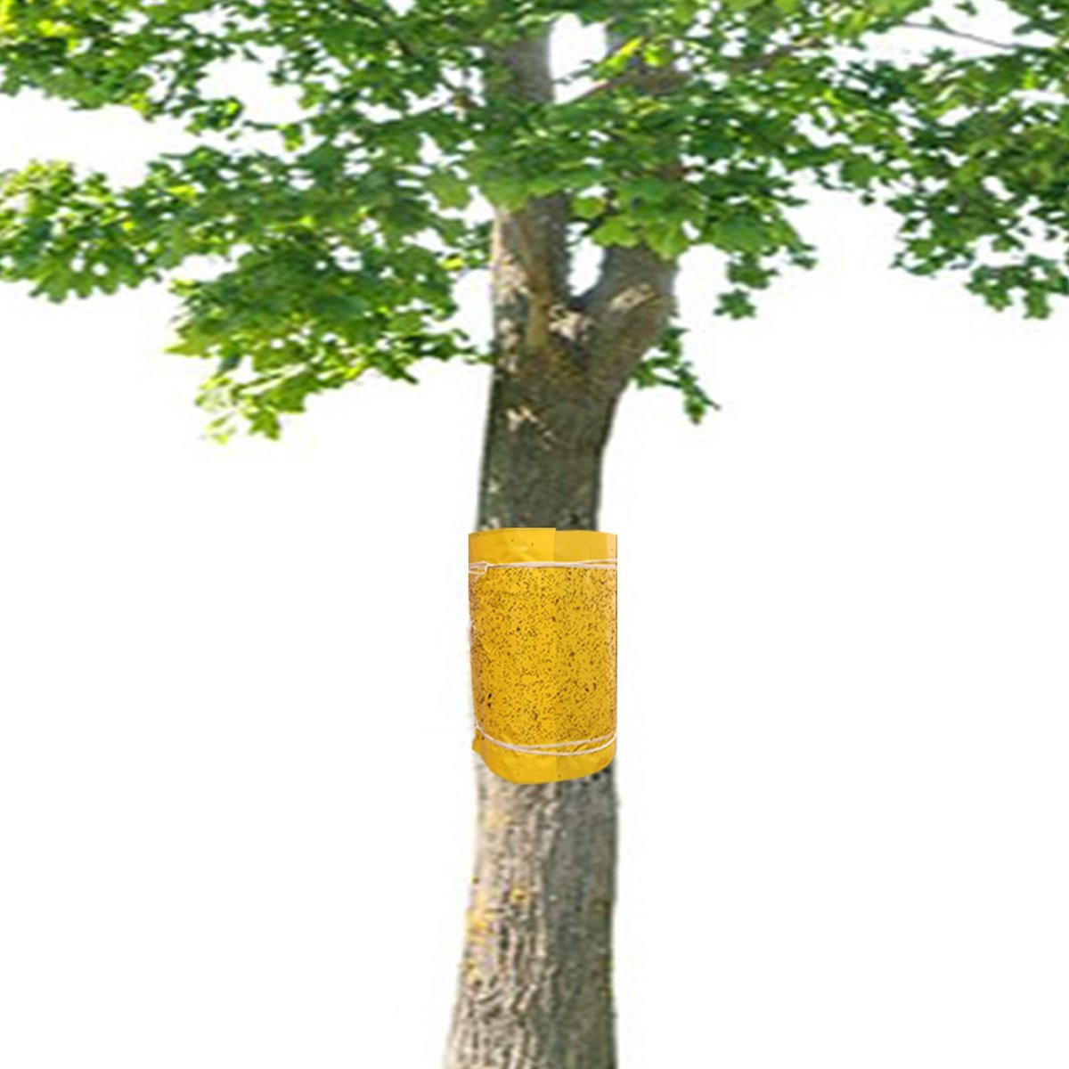 SnelShoppen - Zelfklevende Lijmringen 15 meter - Gele Rupslijm Panelen voor Fruitbomen - Mierenlijmring voor Kersenboom, Appelboom, Pruimenboom - Stam