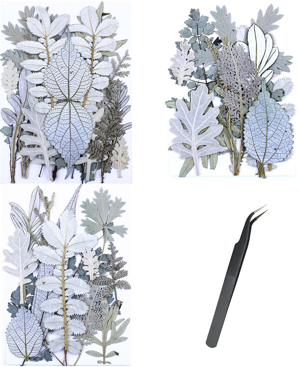 Dailygoods - 46 Stuks Natuurlijke Geperste Gedroogde Bloemen voor Hars en Sieraden