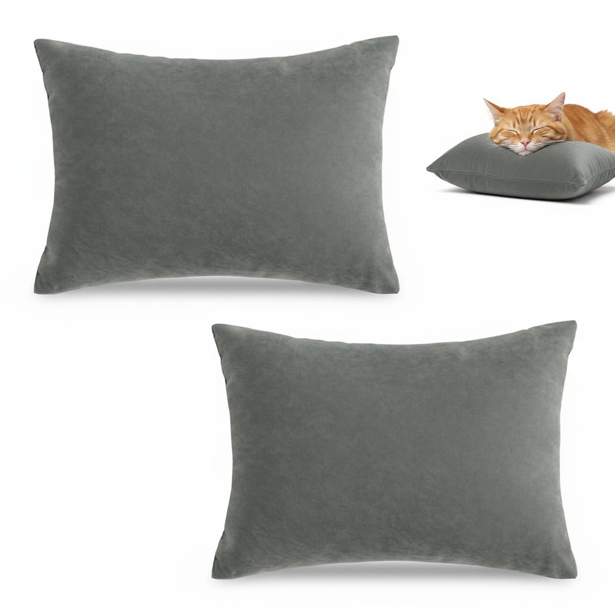 Dailygoods - Set van 2 Mini Reiskussens voor Kinderen en Huisdieren - Ideaal voor Thuis en Op Reis (Grijs)